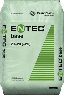 EntecBase20-20